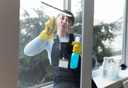 Nettoyage de vitres intérieures et extérieures à Prunet